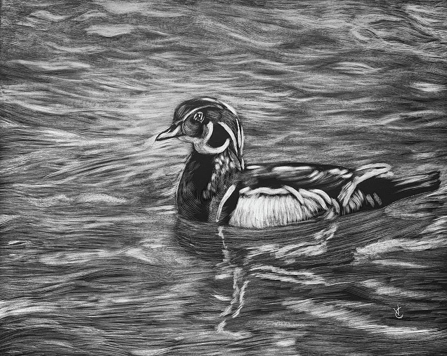 Wood Duck by Virginia Craig Wood Duck by Virginia Craig