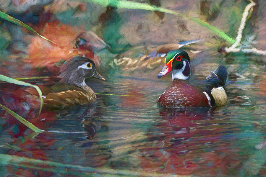 Wood Ducks Digital Art by Ernest Echols