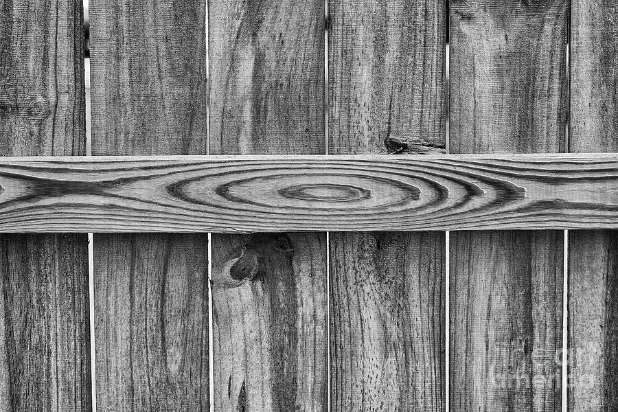 Wood Grain Black and White Photograph by Karen Adams