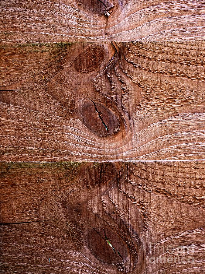 Wood Knots On Timber Fencing Panels Photograph by Ian Gowland/science Photo Library
