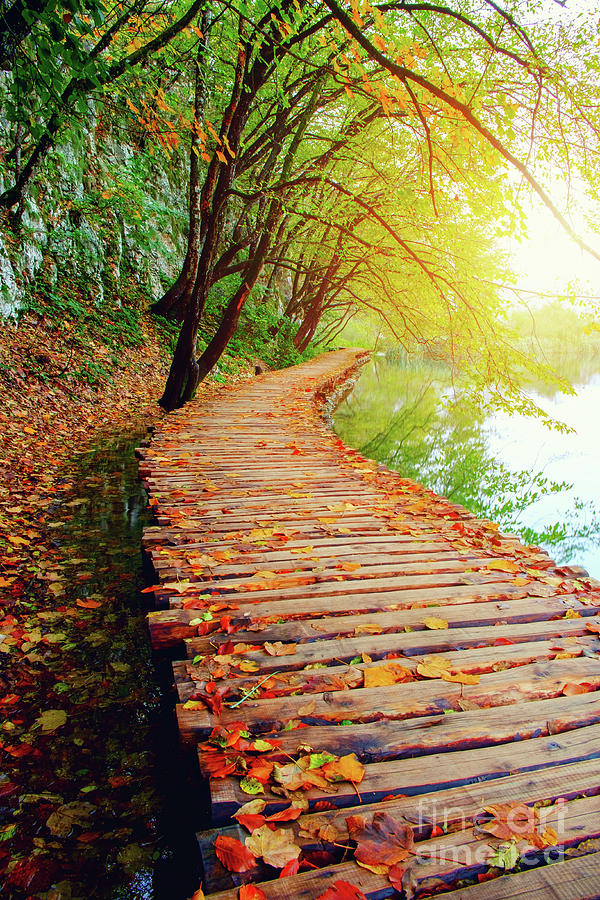 Wood path in the Plitvice national park Photograph by Roland Barat ...