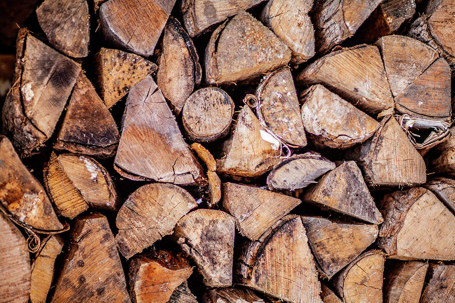 Wood Pile by Trevor Slauenwhite Wood Pile by Trevor Slauenwhite