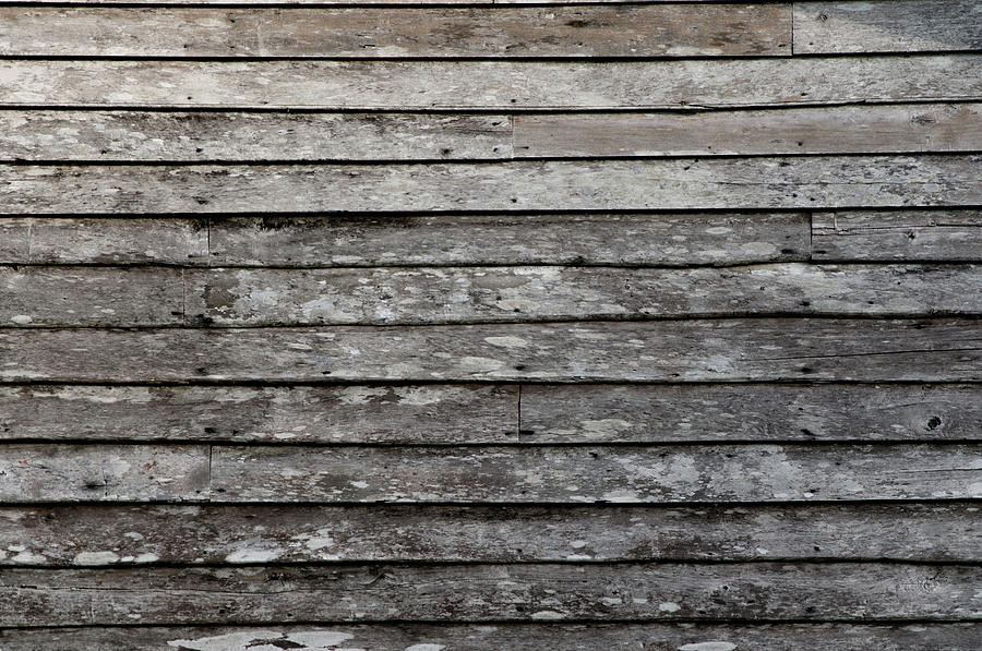 Wood Plank Background Photograph by Primeimages