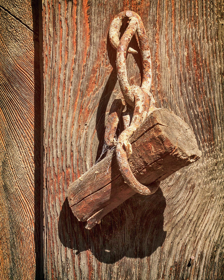 Wood Plug On A Chain Photograph by James Eddy