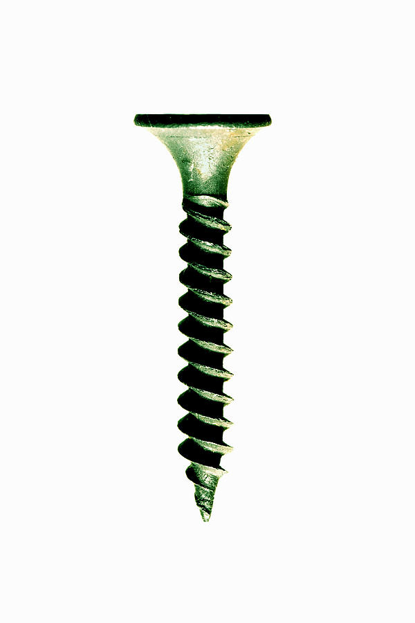 Wood Screw On White Photograph by Steve Mcalister Wood Screw On White Photograph by Steve Mcalister