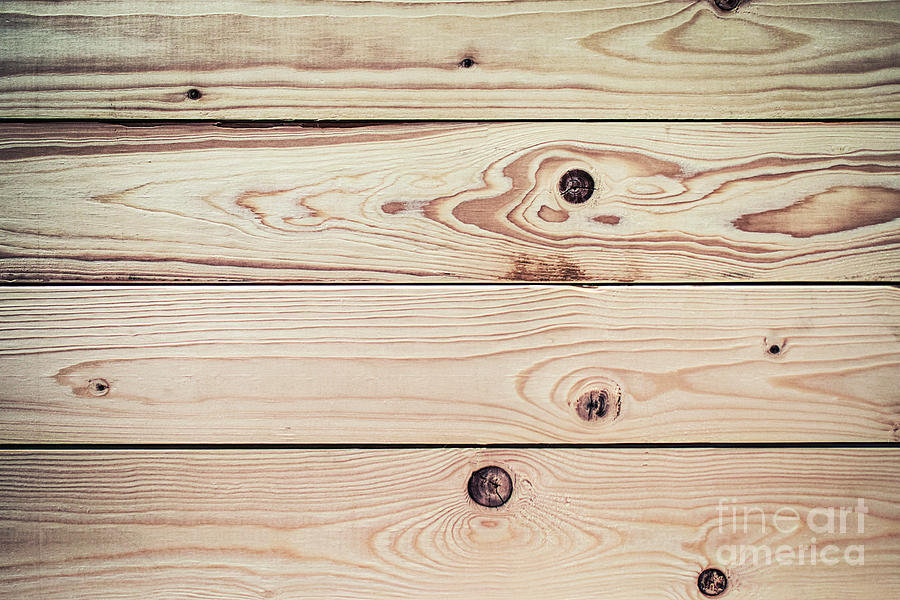 Wood Texture Background Photograph