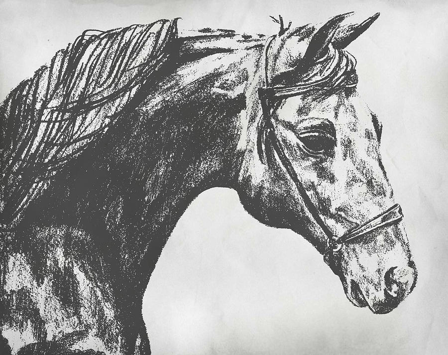 Horse Drawing - Woodbury  by JAMART Photography