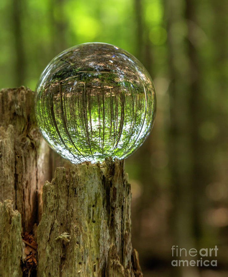 Acadia National Park Photograph - Wooded Reflections by Karin Pinkham