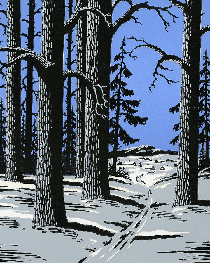 Nature Drawing - Wooded Trail in Winter by CSA Images