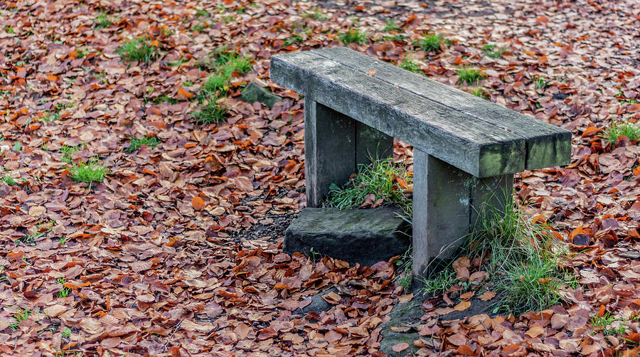 Wooden Autumn Bench Photograph by Scott Lyons