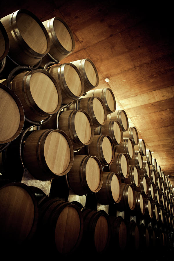 Wooden Barrels Photograph by Thepalmer