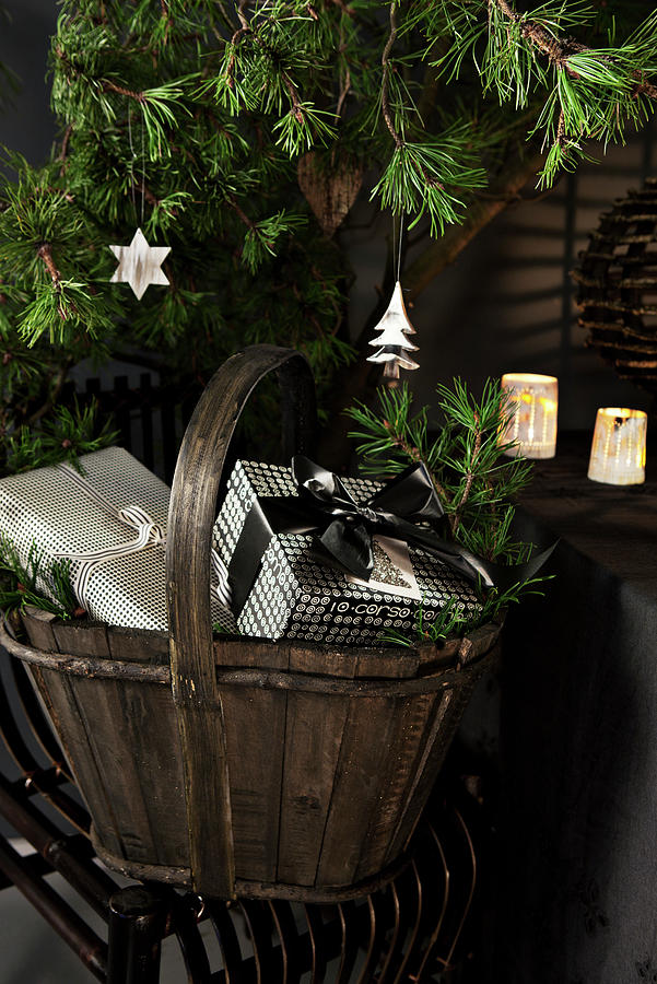 Wooden Basket Of Christmas Presents Below Conifer Branches Photograph by Lykke Foged & Morten Holtum