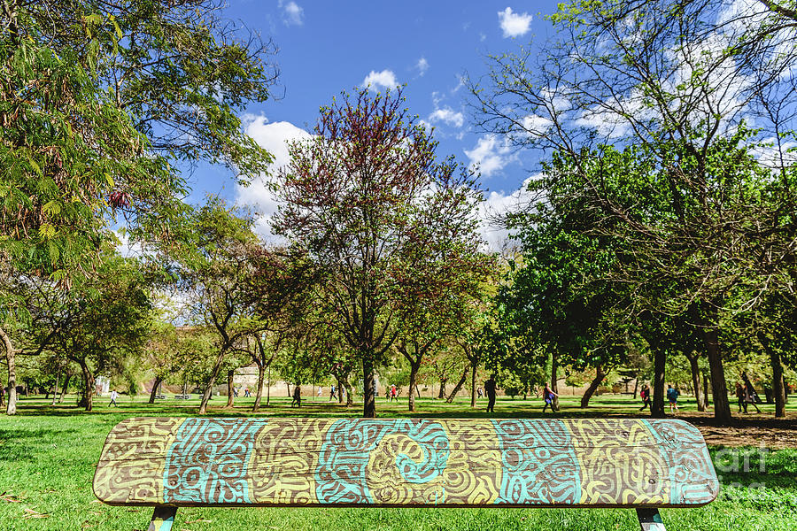 Wooden bench to rest decorated with a beautiful design of labyrinthine lines in a public garden. Photograph by Joaquin Corbalan