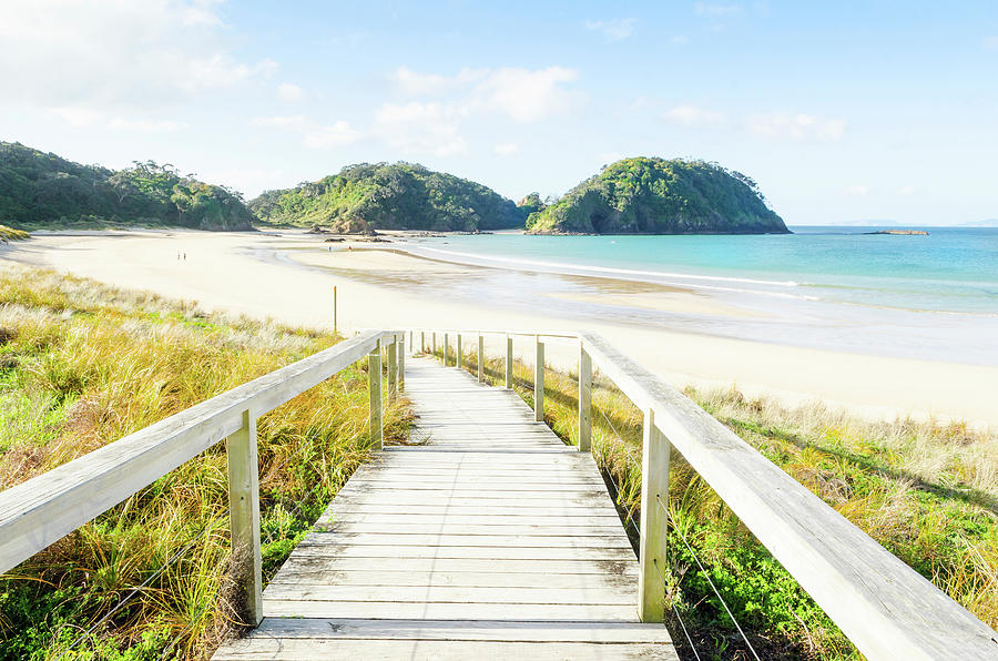 Wooden Boardwalk & Beach, New Zealand Digital Art by Andrew Lever