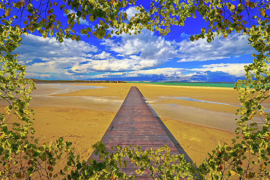 Wooden boardwalk and sand beach of Ninv iew through leaves frame Photograph by Brch Photography