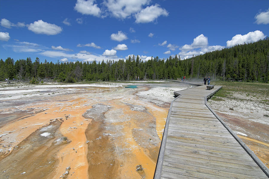 Wooden Boardwalk Over The Mineral Photograph by Neale Clark / Robertharding Wooden Boardwalk Over The Mineral Photograph by Neale Clark / Robertharding