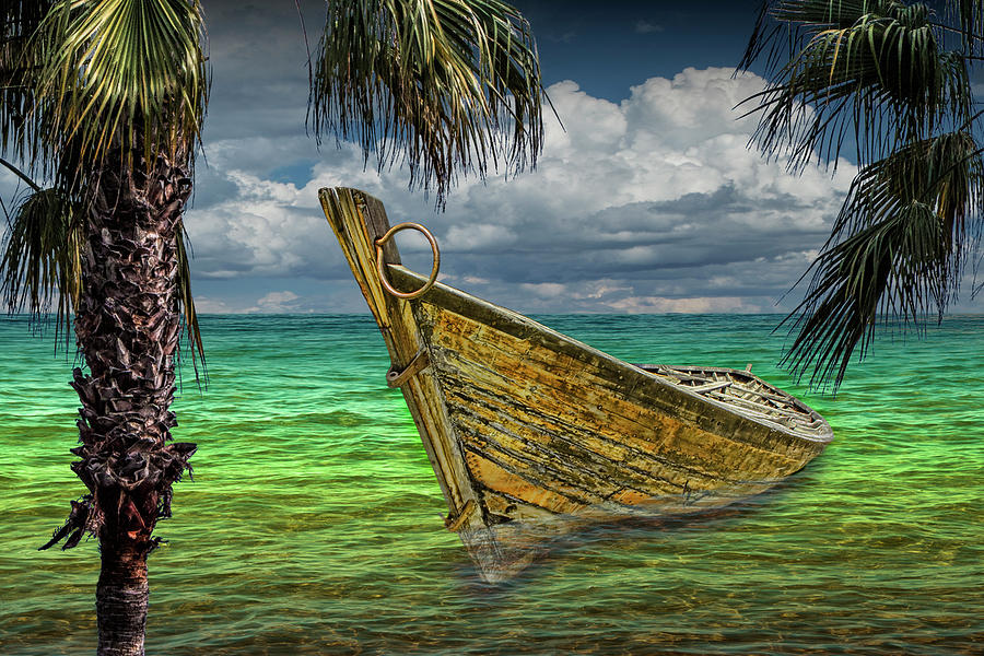 Wooden Boat Resting in the Shallows framed by Palm Trees Photograph by Randall Nyhof