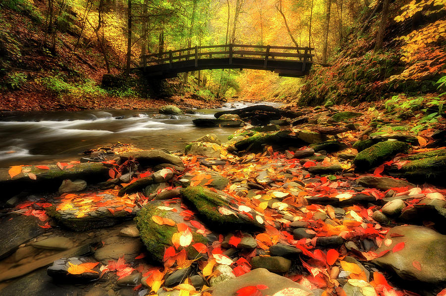 Wooden Bridge And Creek In Fall Photograph by Shobeir Ansari