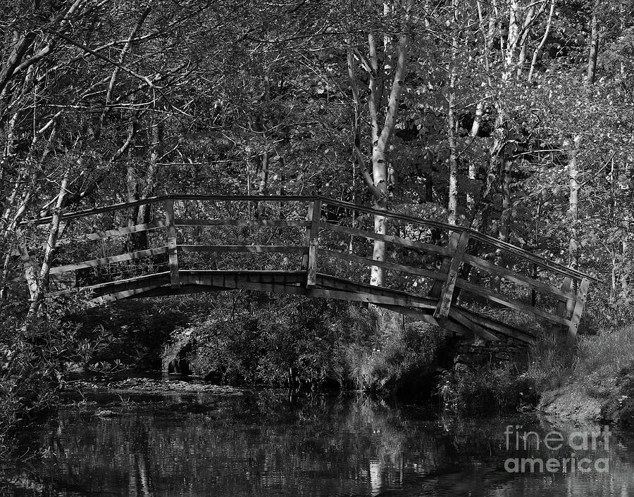 Wooden Bridge Photograph - Wooden Bridge bw Donegal Ireland by Eddie Barron