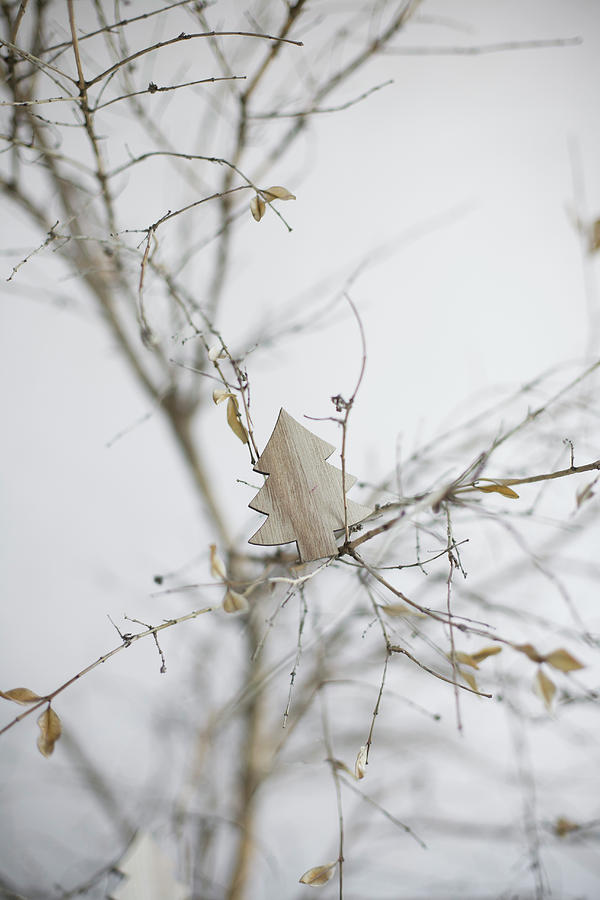 Wooden Christmas Tree On Leafless Branch Photograph by Alicja Koll