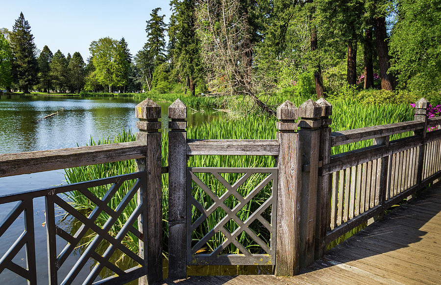 Wooden Fence at Crystal Springs Rhododendron Garden Photograph by Roslyn Wilkins