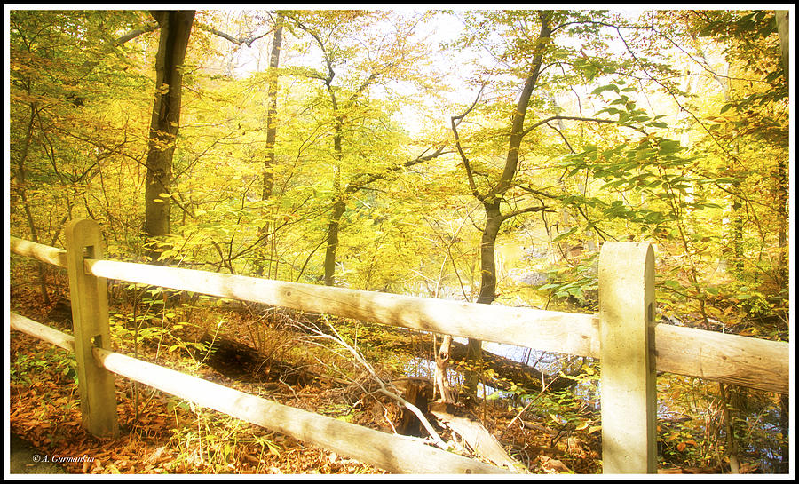 Wooden Fence, Autumn Trail Photograph by A Macarthur Gurmankin