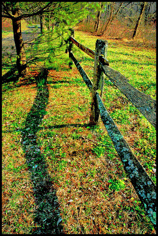 Wooden Fence, Country Roadside Photograph by A Macarthur Gurmankin