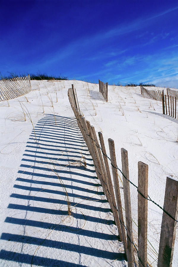 Summer Digital Art - Wooden Fence On Beach by Gary John Norman