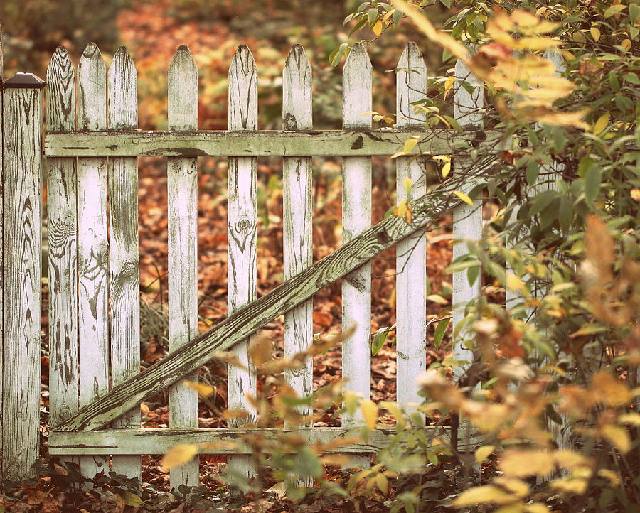 Wooden Gate with Autumn Leaves Photograph by Joseph Skompski