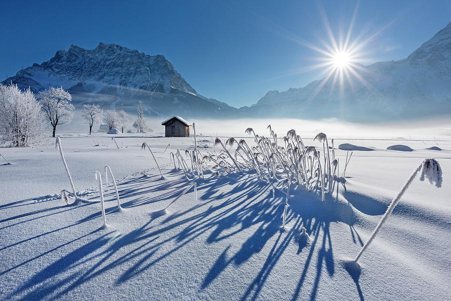 Winter Digital Art - Wooden Hut, Ehrwald, Austria by Reinhard Schmid