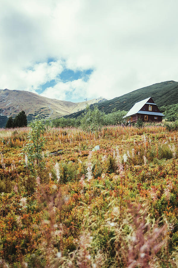 Wooden Hut Tatra Mountains Photograph by Pati Photography
