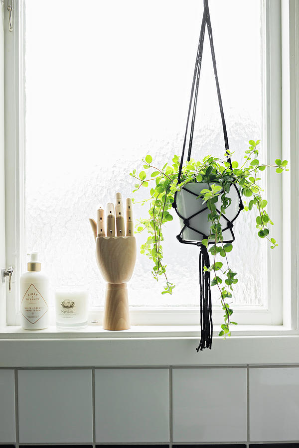 Wooden Model Of Hand Next To Macrame Plant Holder In Front Of Window Photograph by Cecilia Mller