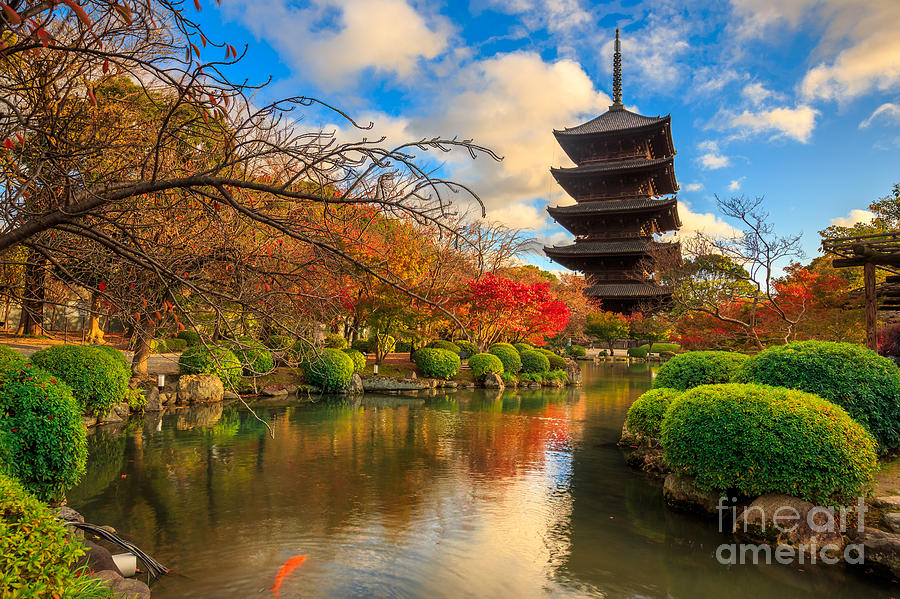 Cherry Photograph - Wooden Pagoda Of Toji Temple Kyoto by Krunja Cherry Photograph - Wooden Pagoda Of Toji Temple Kyoto by Krunja