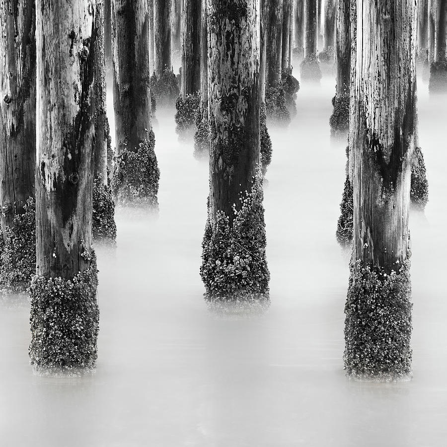 Wooden Pier Photograph by Geoffrey Gilson Photography