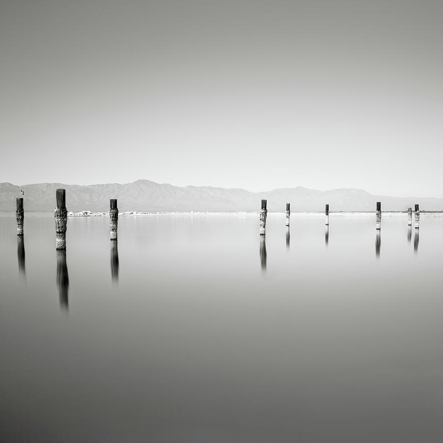 Wooden Poles In Lake Photograph by Tuan Tran
