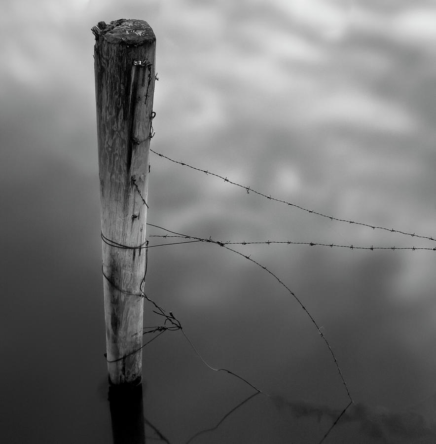 Wooden Post With Barbed Wire Photograph by Peter Levi