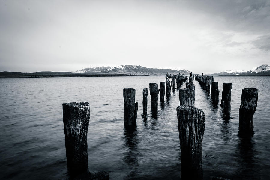 Wooden Posts In Sea Photograph by Thanks For See My Work