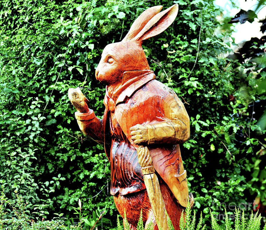 Wooden Rabbit Photograph by Richard Denyer
