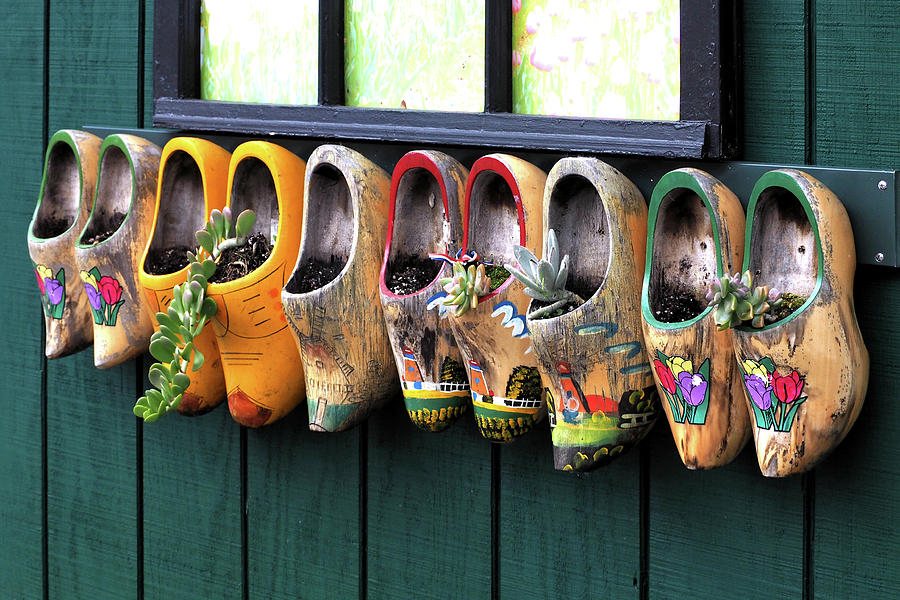 Wooden Shoe Planters Photograph by Bill Swartwout