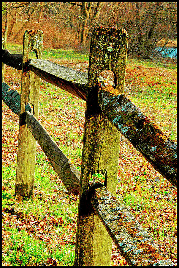 Wooden Slab Fence Along Country Roadside Photograph by A Macarthur Gurmankin