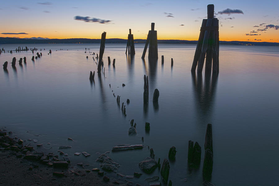 Wooden Soldiers of the Hudson Photograph by Angelo Marcialis