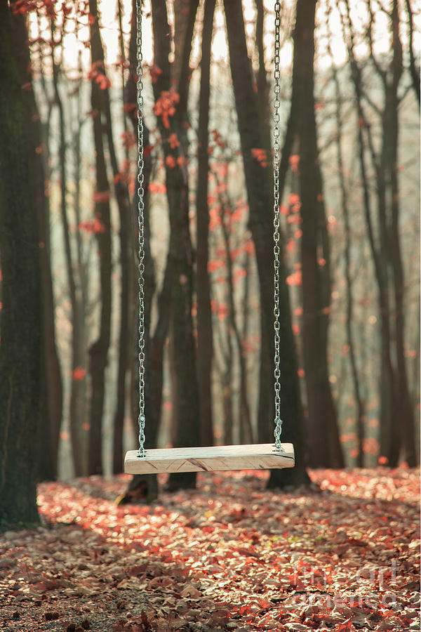 Wooden swing in autumn forest Photograph by Jelena Jovanovic