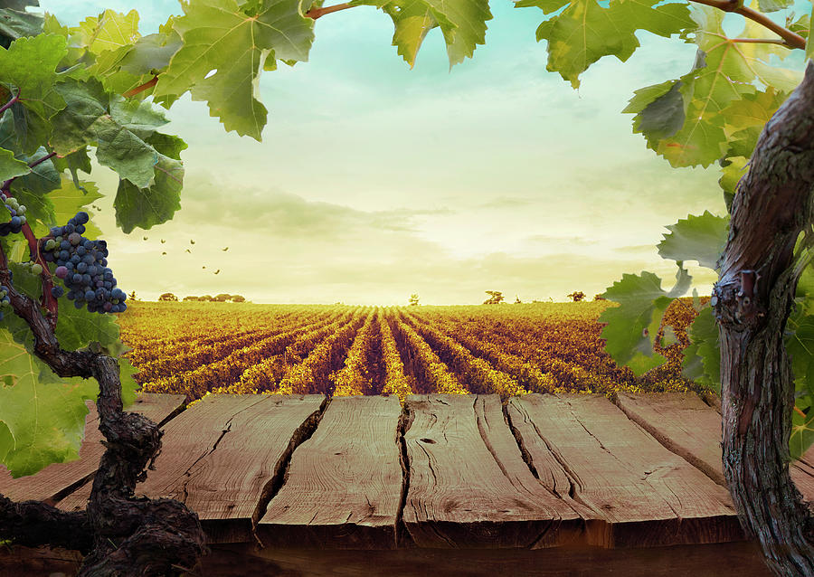 Wooden Table. Spring Design With Vineyard And Empty Display. Space For Your Montage Photograph by Mythja