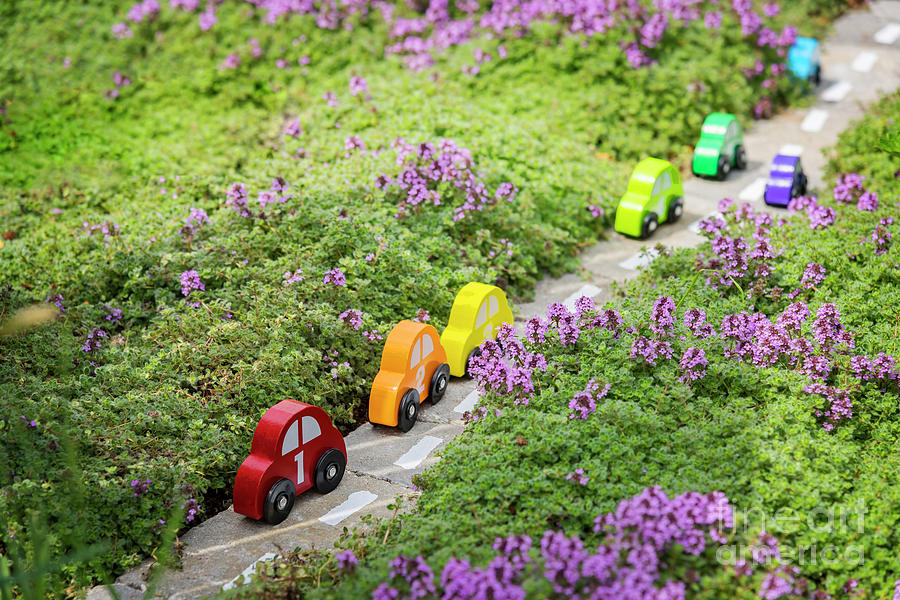 Wooden toy cars in garden Photograph by Sophie McAulay