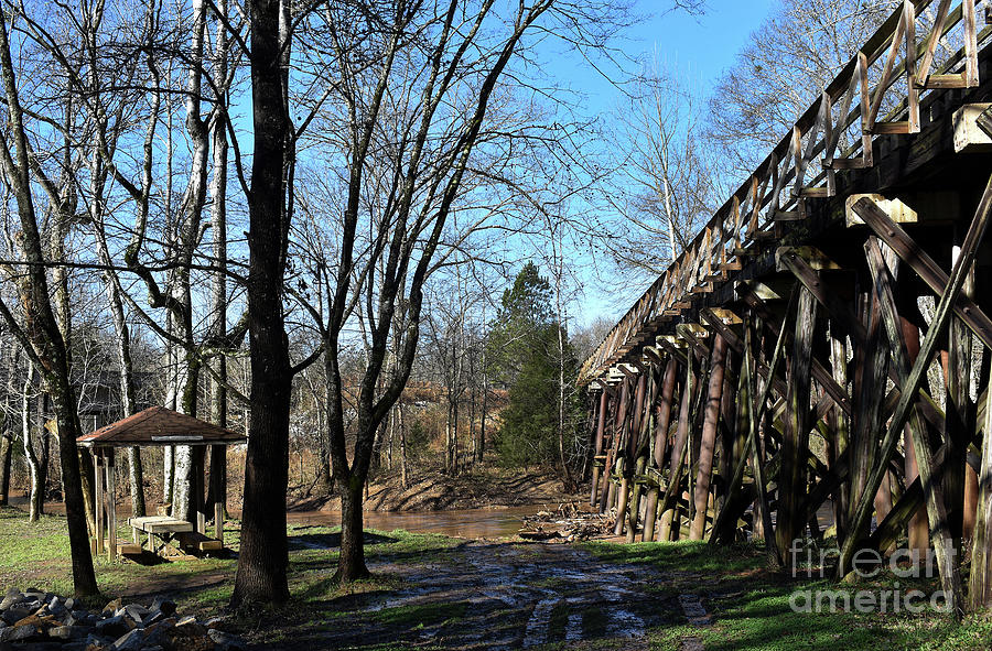 Wooden Trestle Photograph by Skip Willits