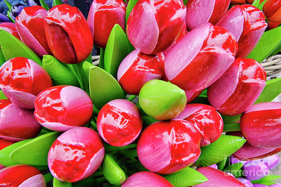 Wooden Tulips Photograph