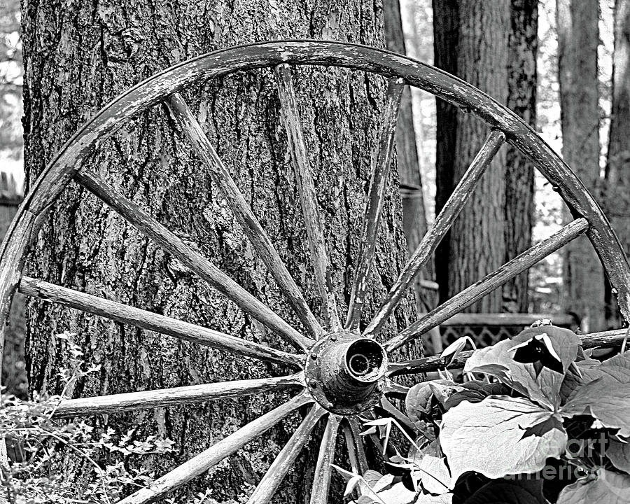 Wooden Wagon Wheel In Black And White Photograph by Smilin Eyes Treasures