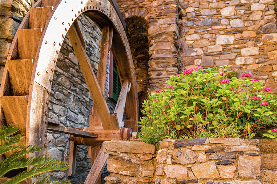 Wooden Wheel of Mill  Photograph by Vivida Photo PC