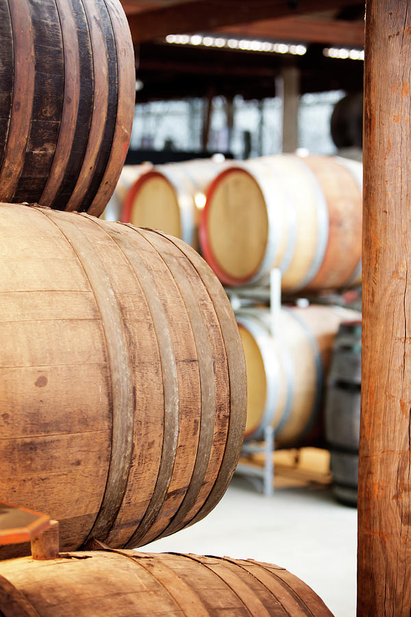 Wooden Wine Barrels Photograph by Davidf