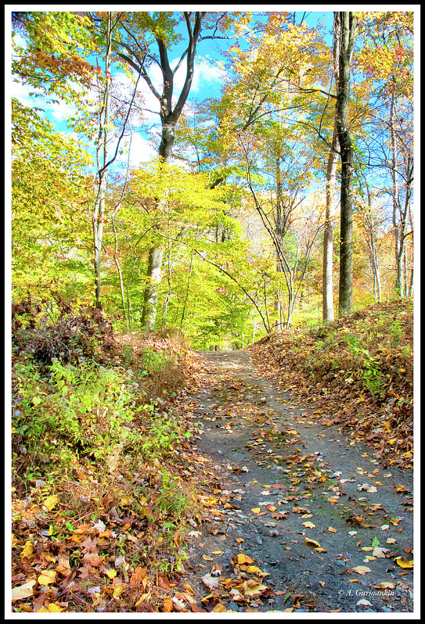 Woodland Path in Autumn, Southeastern Pennsylvania Photograph by A Macarthur Gurmankin